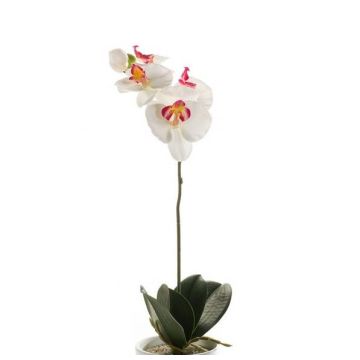 Kunst Phalaenopsis Orchidee ISIS, Steckstab, weiß-rosa, 40cm