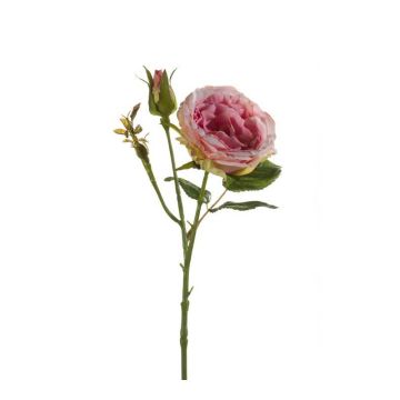 Plastik Rose CESCA, rosa, 40cm, Ø9cm