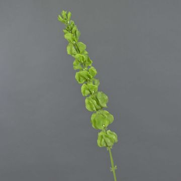 Kunstblume Irlandglocke SIERA, grün, 80cm, Ø7cm