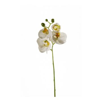Kunst Phalaenopsis Orchideen Zweig MINA, weiß, 55cm
