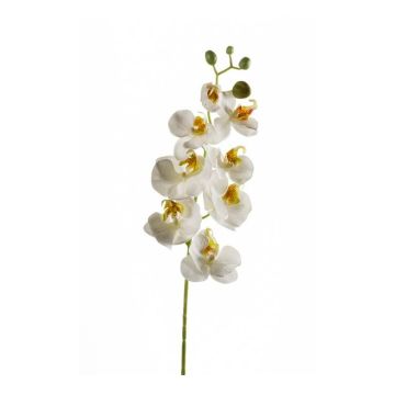Kunst Phalaenopsis Orchideen Zweig MINA, weiß, 70cm