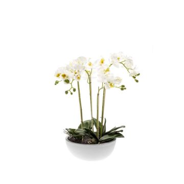 Kunst Phalaenopsis Orchidee MINA im Keramiktopf, weiß, 60cm