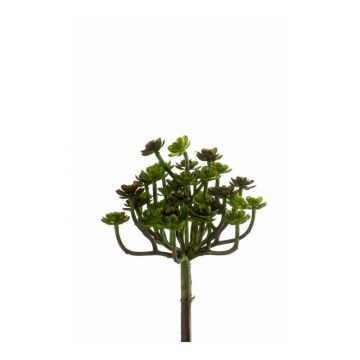 Künstliche Echeveria macdougallii PICO auf Steckstab, grün, 20cm, Ø10cm