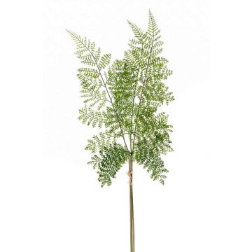 Plastik Schildfarn Zweig HALIMA, grün, 60cm
