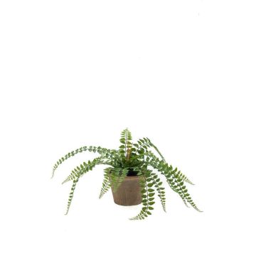Künstlicher Farn Knopffarn BELONA im Terracottatopf, grün, 50cm