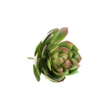 Kunst Echeveria gibbiflora OAXACA auf Steckstab, grün, Ø20cm