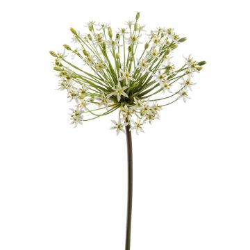 Künstlicher Allium BRAIS, weiß, 90cm, Ø20cm