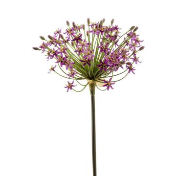 Künstlicher Allium BRAIS, violett, 90cm, Ø20cm
