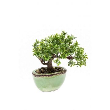 Kunst Bonsai Ficus ORIANA im Keramiktopf, 18cm