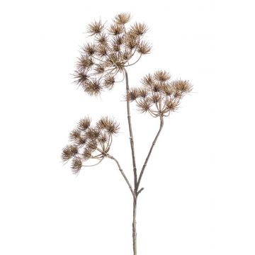 Kunstpflanze Bärenklau BELMIRO, braun, 100cm, Ø13-15cm