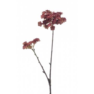 Kunstpflanze Echeveria macdougallii Zweig KALUPA, burgunderrot, 50cm