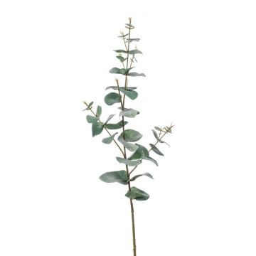 Plastik Eukalyptus Zweig CALLIOPE, grün-grau, 70cm