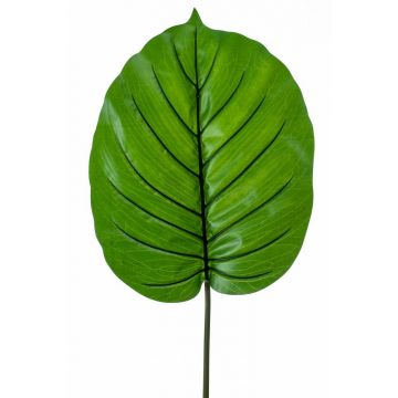 Künstliches Alocasia Odora Blatt ELES, grün, 95cm