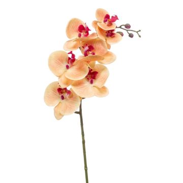 Kunst Phalaenopsis Orchideen Zweig NEITH, orange-pink, 85cm