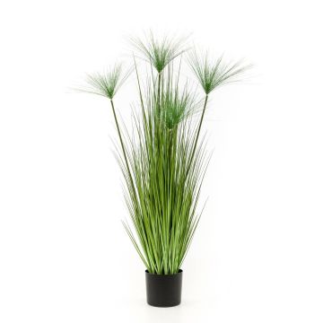 Künstliche Papyruspflanze LARNAKA, grün, 125cm