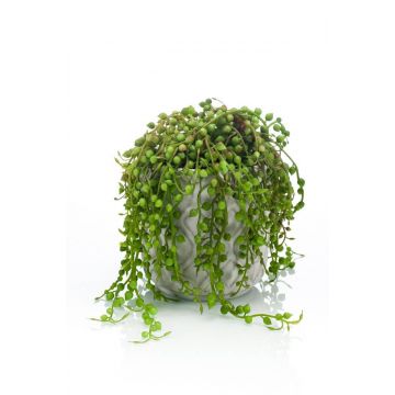 Kunstpflanze Senecio PIURA im Zementtopf, grün, 15cm