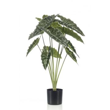 Künstliche Alocasia Sanderiana FIORELLA, grün, 80cm