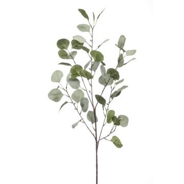 Künstlicher Eukalyptus Zweig COLTON, grün-grau, 85cm