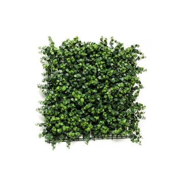 Kunst Eukalyptus Hecke / Matte JASE, crossdoor, grün, 50x50cm
