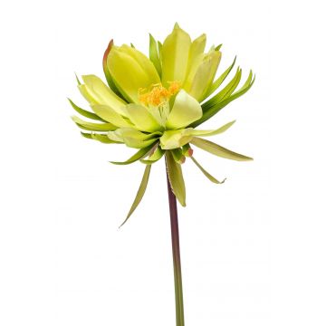 Kunstblume Chrysantheme NAGANO, grün, 80cm