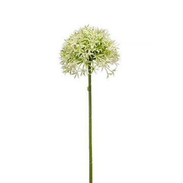 Künstlicher Allium ARNAU, creme-grün, 60cm, Ø10cm