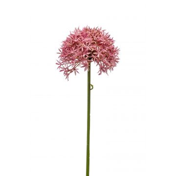 Künstlicher Allium ARNAU, pink, 60cm, Ø10cm