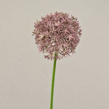 Kunstblume Allium ARNAU, altlila, 60cm, Ø10cm