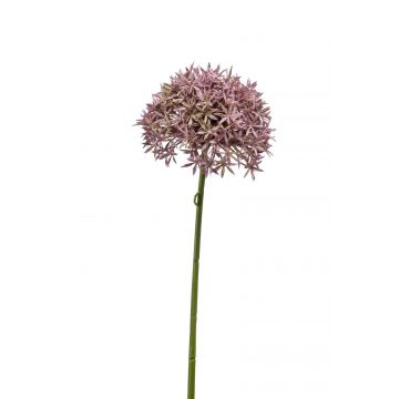 Künstlicher Allium ARNAU, rosa, 60cm, Ø10cm