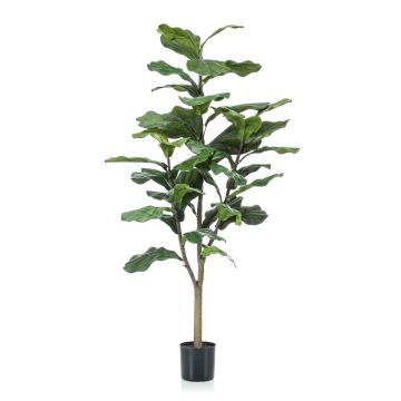 Künstlicher Ficus Lyrata EUSEBI, Kunststamm, grün, 120cm
