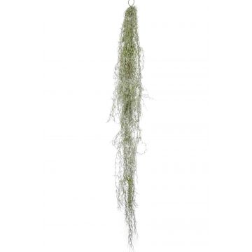 Kunst Tillandsia Usneoides HIDAL, grün-grau, 150cm