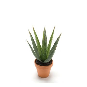 Kunst Aloe Variegata MARTINEZ, Tontopf, grün, 30cm, Ø17cm