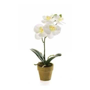 Künstliche Phalaenopsis Orchidee SETH im Dekotopf, creme, 25cm