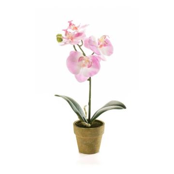 Künstliche Phalaenopsis Orchidee SETH im Dekotopf, rosa, 25cm