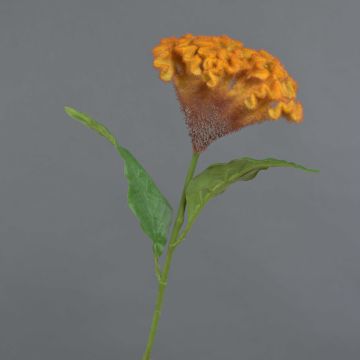 Blume künstlich Hahnenkamm ANUBIS, orange, 60cm, Ø14cm