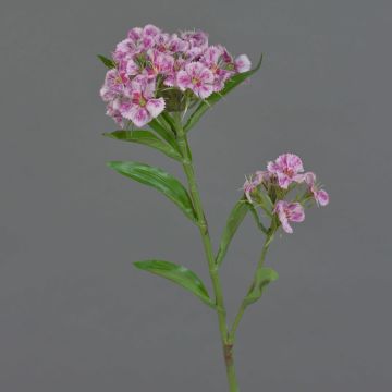 Künstliche Bartnelke ARCHIE, pink-rosa, 60cm, Ø8-14cm