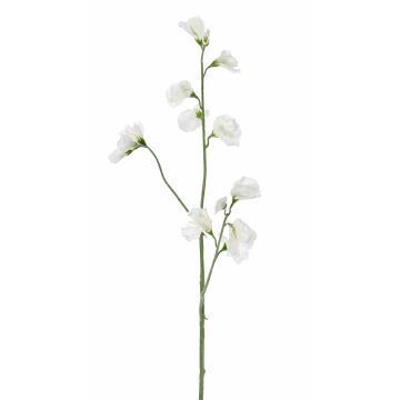 Kunstblume Lathyrus ASFALOTH, weiß, 65cm, Ø2-5,5cm