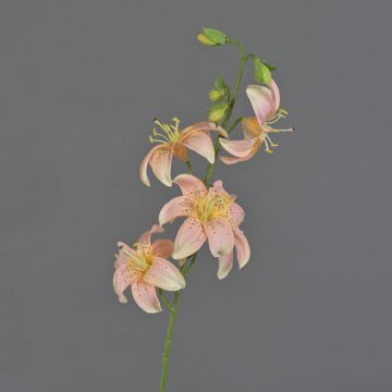 Künstliche Tigerlilie ASHANTI, rosa-pfirsich, 60cm, Ø10cm