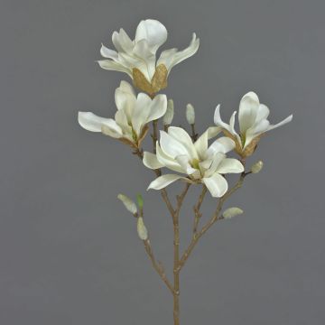 Künstlicher Sternmagnolien Zweig AZULA, weiß, 60cm, Ø9-11cm