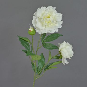 Kunstblumenzweig Pfingstrose ONYX, creme-weiß, 75cm, Ø10-13cm
