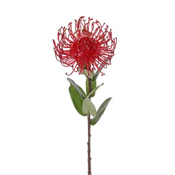 Künstliche Nadelkissen Protea BAILY, rot, 50cm, Ø12cm