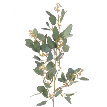 Kunst Eukalyptus Zweig COBAR mit Blüten, crossdoor, grün, 65cm