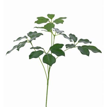 Künstlicher Schefflera Zweig CAPONE, crossdoor, grün, 50cm