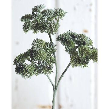 Künstlicher Sedum rubrotinctum Zweig JAROH, grün-grau, 35cm