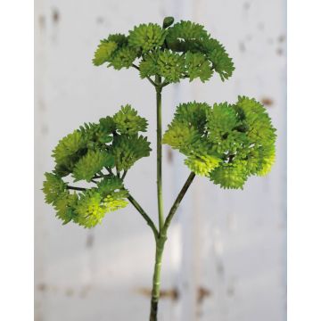Künstlicher Sedum rubrotinctum Zweig JAROH, grün, 35cm