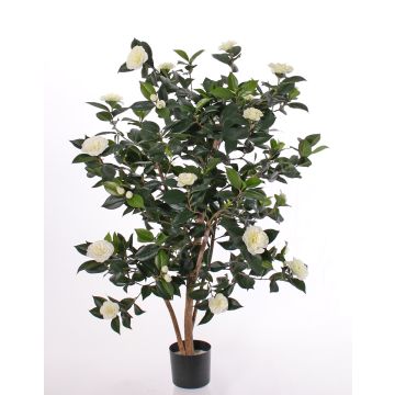 Kunst Camellia Japonica SENTA, Echtstämme, Blüten, creme, 135cm