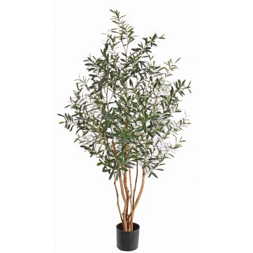 Künstlicher Olivenbaum ROY, Echtstämme, crossdoor, 165cm