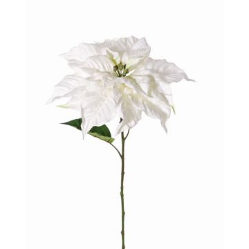 Künstliche Poinsettia KORANA, weiß, 75cm, Ø33cm