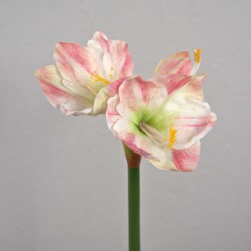 Künstliche Amaryllis YOLANTE, rosa-weiß, 70cm, Ø6-13cm