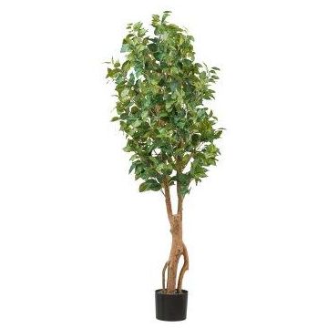 Künstlicher Baum Ficus Benjamini NATRONA, Naturstämme, 160cm