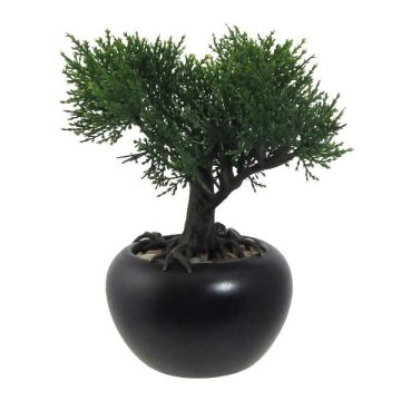 Kunstbaum Bonsai Zeder FALKE mit Wurzeln, Keramiktopf, 19cm